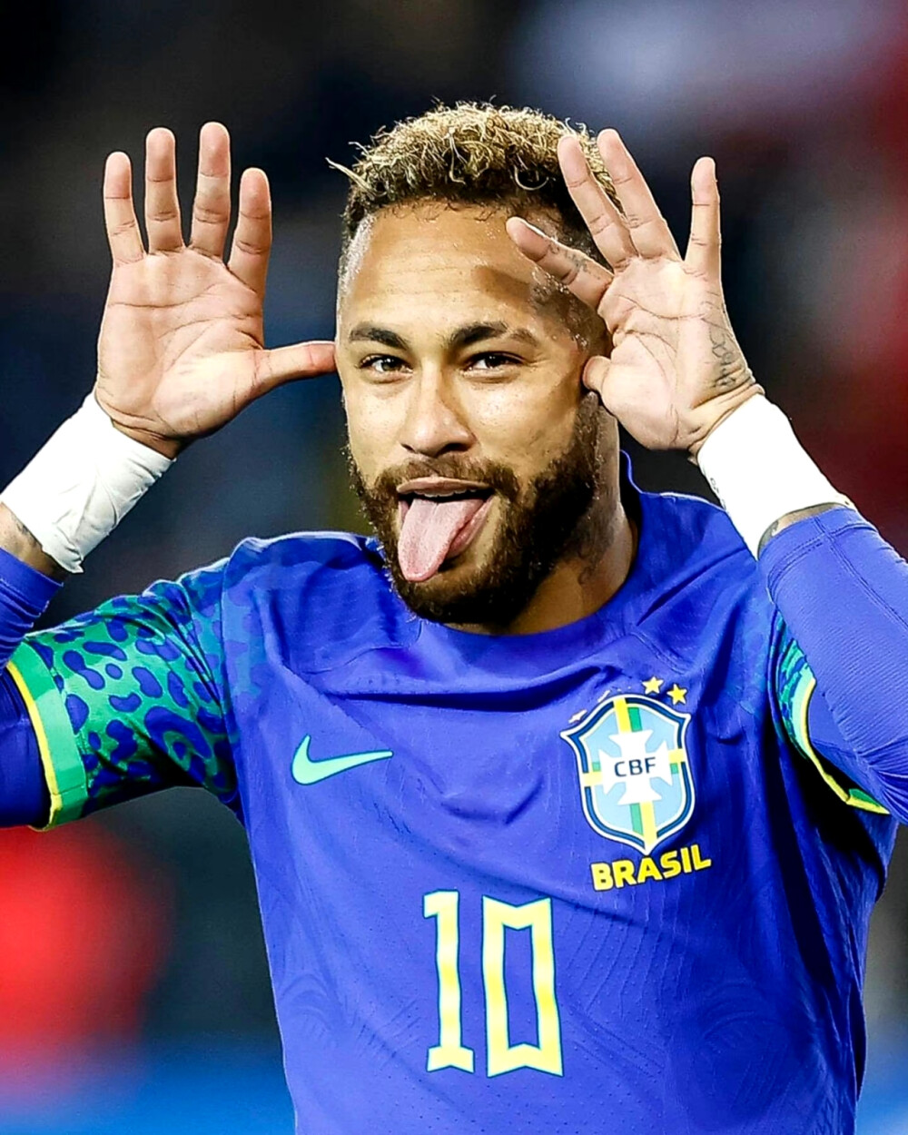 广厦的年轻 广厦的年轻