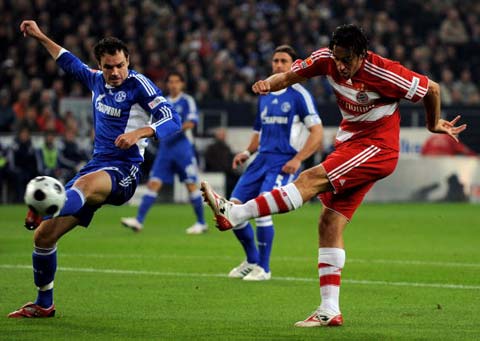 南美新星的 南美新星的