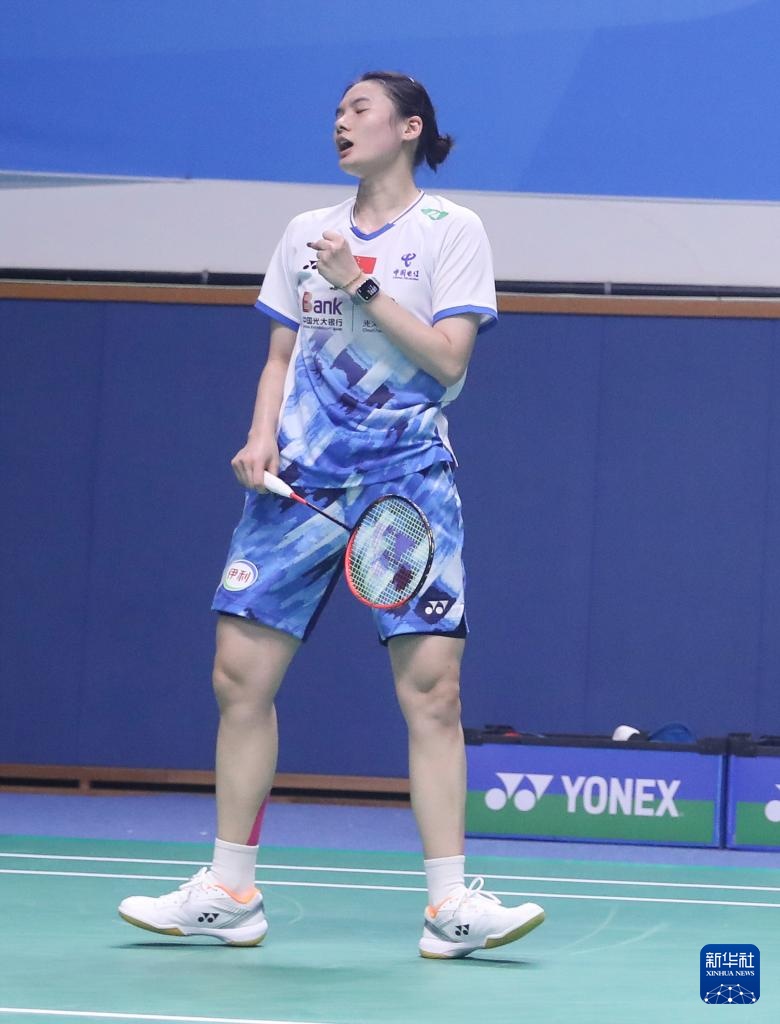 维斯塔潘的 维斯塔潘的